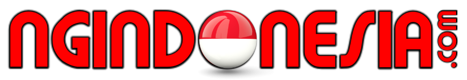 ngindonesia logo
